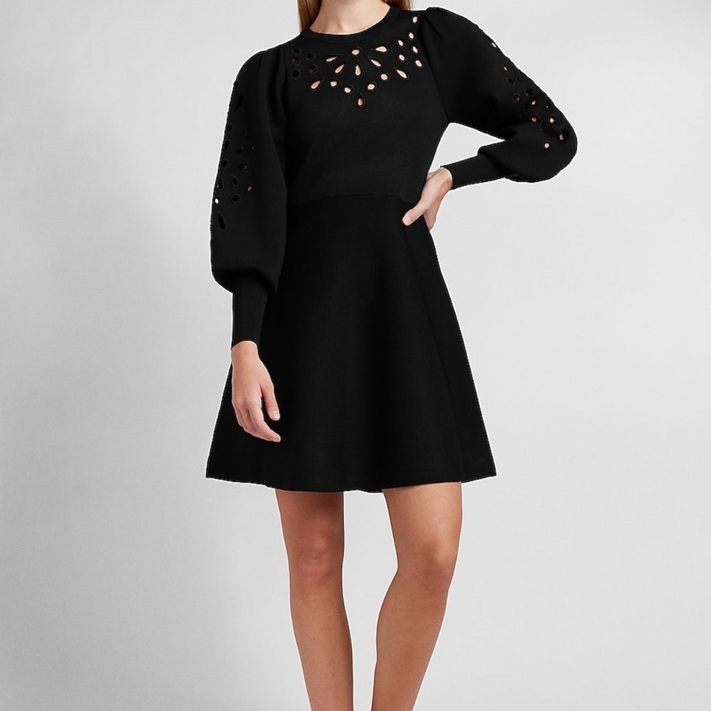 Express eyelet dress